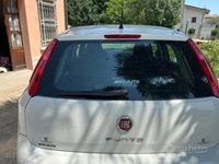 Usata Fiat Punto Evo 65 CV (47 kW) 2016 Bianco Utilitaria