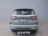 Usata Ford Kuga ST-Line 120 CV (88 kW) 2023 Grey matter SUV