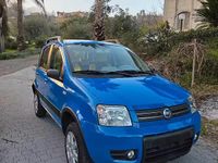 Usata Fiat Panda 4x4 Climbing 75 CV (55 kW) 2006 Blu Utilitaria