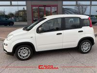 Usata Fiat Panda S 69 CV (50 kW) 2024 Bianco gelato Utilitaria