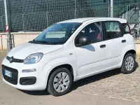Usata Fiat Panda Easy 69 CV (50 kW) 2019 Bianco Utilitaria