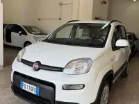 Usata Fiat Panda 4x4 Lounge 95 CV (69 kW) 2016 Bianco Utilitaria