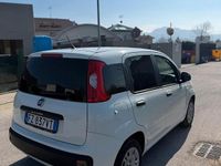Usata Fiat Panda Easy 69 CV (50 kW) 2020 Utilitaria