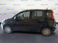 Usata Fiat Panda Icon 69 CV (50 kW) 2025 Nero Berlina