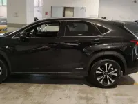 Usata Lexus NX300h Sport Line 197 CV (144 kW) 2019 Nero SUV