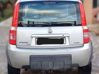 Usata Fiat Panda 4x4 Cross 69 CV (50 kW) 2007 Argento Utilitaria