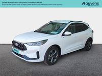 Usata Ford Kuga ST-Line 179 CV (131 kW) 2024 Bianco SUV