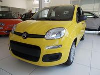 Nuova Fiat Panda Pop 65 CV (47 kW) 2026 Giallo Utilitaria