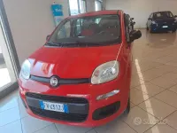 Usata Fiat Panda Easy 69 CV (50 kW) 2019 Rosso Utilitaria