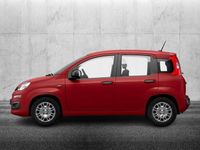 Usata Fiat Panda S 69 CV (50 kW) 2024 Rosso Utilitaria