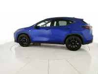 Usata Lexus NX350h Sport Line 244 CV (179 kW) 2023 Blu SUV