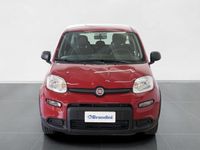 usata Fiat Panda 1.0 FireFly Hybrid