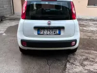 Usata Fiat Panda Easy 69 CV (50 kW) 2020 Bianco Utilitaria