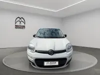 Usata Fiat Panda 4x4 Pop 85 CV (62 kW) 2019 Bianco Utilitaria