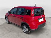 Usata Fiat Panda S 70 CV (51 kW) 2025 Utilitaria