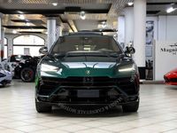 usata Lamborghini Urus S|SPECIAL PAINT|TETTO|ANIMA|23''TAIGETE|STYLE PACK