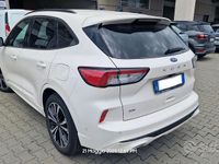 Usata Ford Kuga ST-Line X 190 CV (139 kW) 2020 Bianco SUV