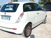 Usata Lancia Ypsilon 77 CV (56 kW) 2009 Bianco Utilitaria