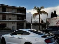 Usata Ford Mustang Fastback 317 CV (233 kW) 2018 Bianco Coupé