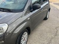 Usata Fiat Panda S 70 CV (51 kW) 2021 Grigio Utilitaria
