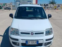 Usata Fiat Panda Dynamic 69 CV (50 kW) 2010 Grigio Utilitaria