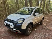 Usata Fiat Panda Cross Cross 2019 Bianco Utilitaria