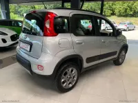Usata Fiat Panda 4x4 S 95 CV (69 kW) 2016 Argento Utilitaria