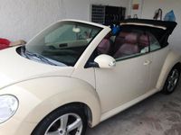 Usata VW New Beetle 105 CV (77 kW) 2006 Utilitaria