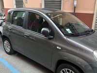 Usata Fiat Panda 2020 Grigio Berlina