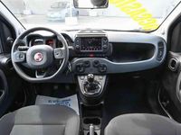 Usata Fiat Panda Cross Cross 2023 Blu Utilitaria