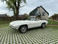 Usata Chevrolet Corvette Stingray 365 CV (268 kW) 1964 Bianco Cabrio