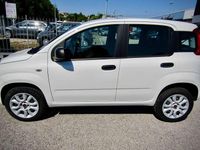Usata Fiat Panda 71 CV (52 kW) 2019 Bianco Utilitaria