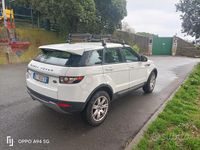 Usata Land Rover Range Rover evoque 150 CV (110 kW) 2014 Bianco SUV