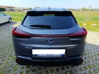 Usata Lexus UX 250h 184 CV (135 kW) 2019 Grigio SUV