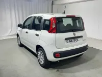 Nuova Fiat Panda S 69 CV (50 kW) 2025 Bianco Utilitaria
