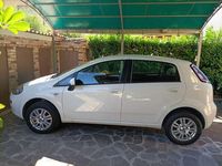 usata Fiat Punto Punto5p 1.4 natural power Lounge 70cv E6