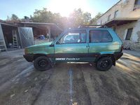Usata Fiat Panda 4x4 Trekking 54 CV (39 kW) 1999 Verde Utilitaria