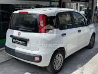 Usata Fiat Panda Easy 69 CV (50 kW) 2019 Bianco Utilitaria