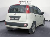Immagine 2