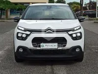 Begagnad Citroën C3 Feel 102 HK (75 kW) 2023 Vit Halvkombi