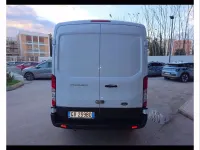Usata Ford Transit Trend 131 CV (96 kW) 2024 Bianco Furgone