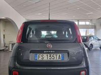 Usata Fiat Panda Pop 69 CV (50 kW) 2018 Grigio Utilitaria