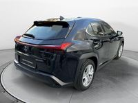 usata Lexus UX Hybrid Business