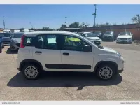 Usata Fiat Panda 70 CV (51 kW) 2022 Bianco Utilitaria