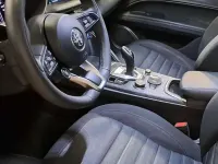 Usata Alfa Romeo Stelvio Business 190 CV (139 kW) 2021 Grigio SUV