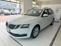 Usata Skoda Octavia Ambition 116 CV (85 kW) 2020 Bianco Station wagon