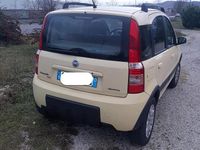 Usata Fiat Panda 60 CV (44 kW) 2005 Giallo Utilitaria