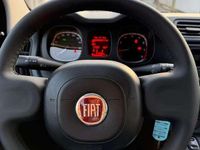 Usata Fiat Panda Easy 69 CV (50 kW) 2022 Utilitaria