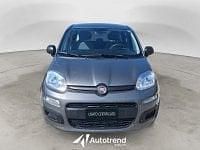 Usata Fiat Panda S 70 CV (51 kW) 2022 Grigio scuro Utilitaria