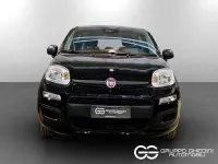 Nuova Fiat Panda Pop 65 CV (47 kW) 2026 Nero cinema pastello Utilitaria